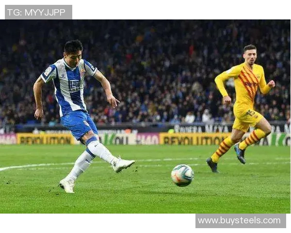 加维的足球之路年轻才俊崛起的奋斗与荣耀之旅