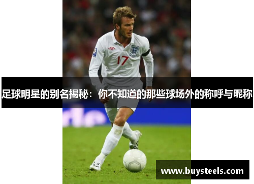 足球明星的别名揭秘：你不知道的那些球场外的称呼与昵称