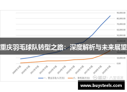 重庆羽毛球队转型之路：深度解析与未来展望