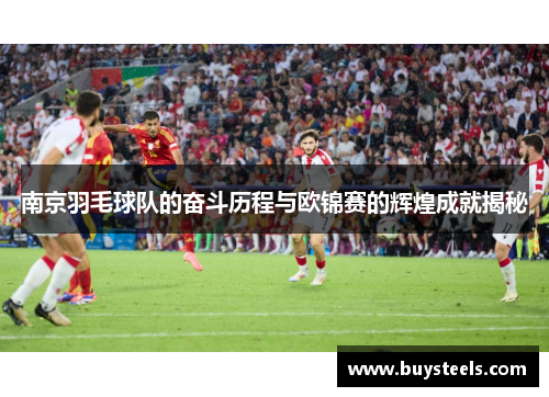 南京羽毛球队的奋斗历程与欧锦赛的辉煌成就揭秘